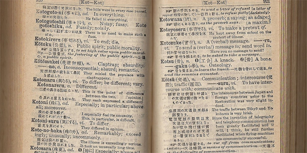Dictionary
